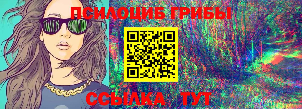 Псилоцибиновые грибы Psilocybine cubensis Ставрополь