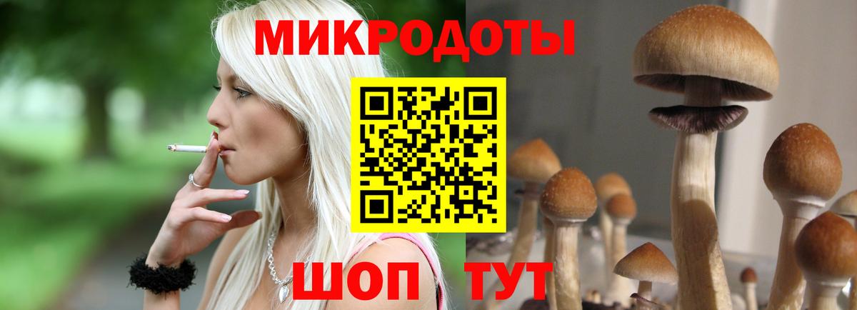 Ставрополь  Галлюциногенные грибы мухоморы  где продают   Вход с VPN 