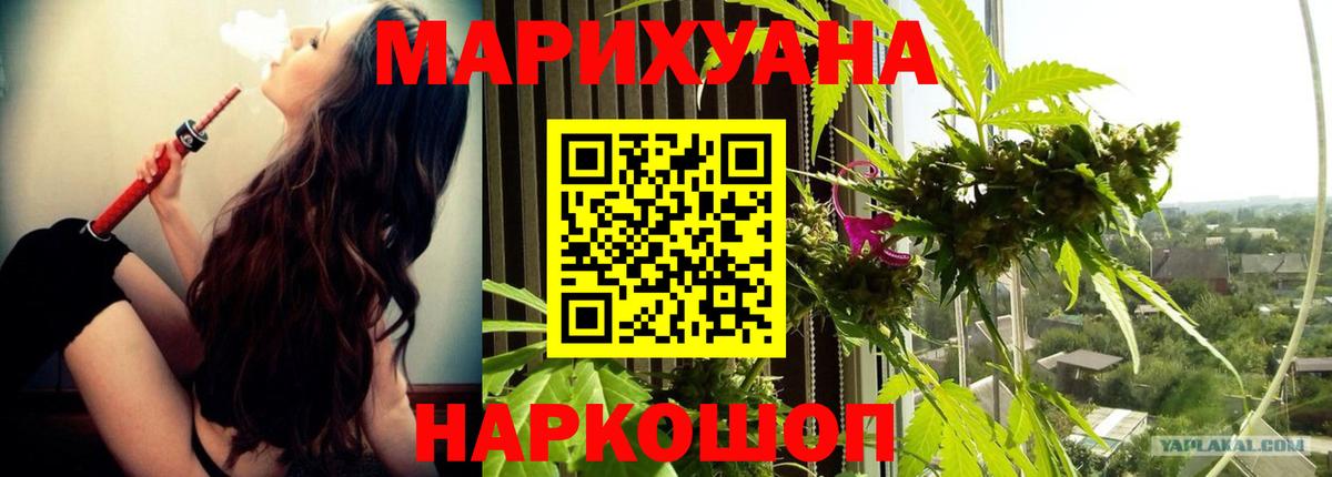Бошки Шишки MAZAR Ставрополь